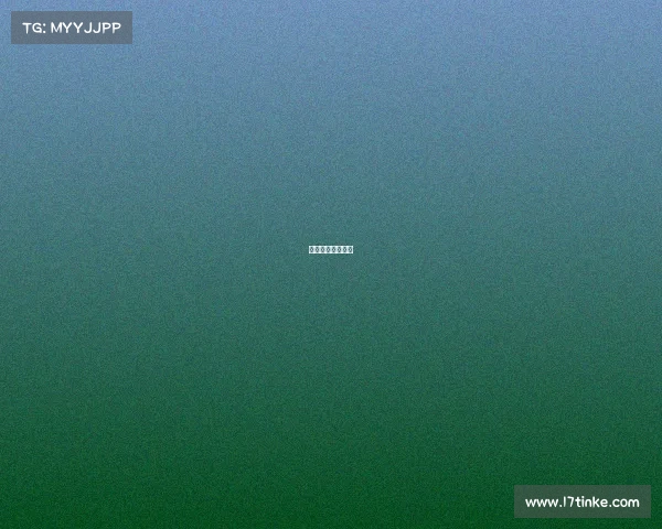 国际电子竞技比赛